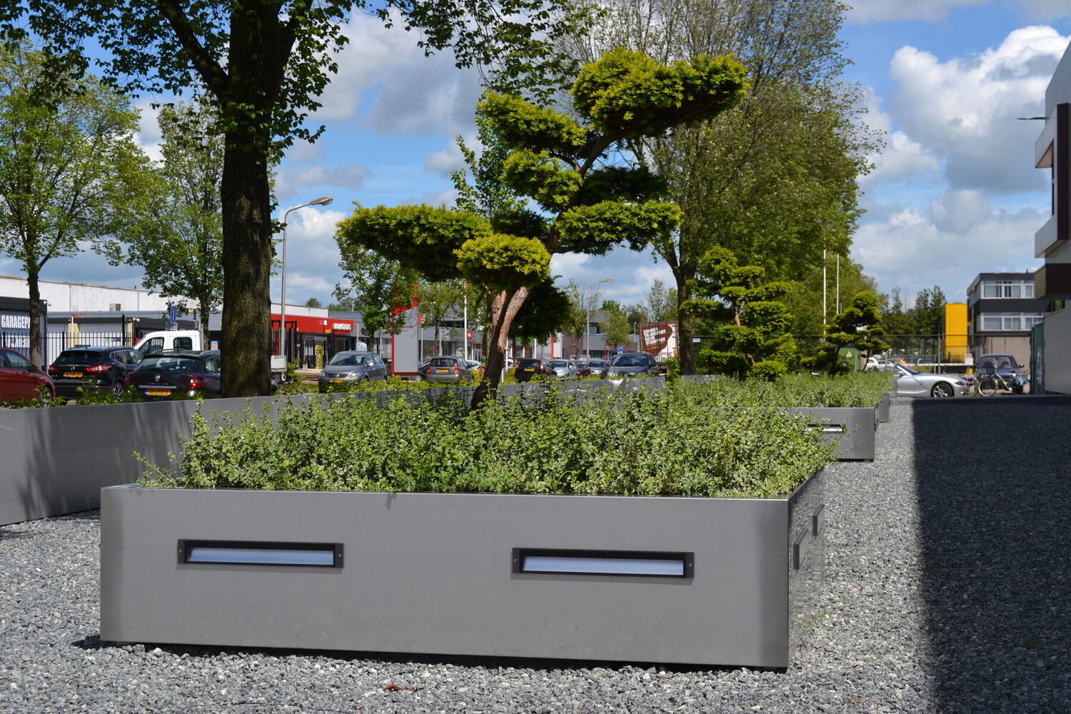 Strakke plantenbakken met bonsai-dennen bij een bedrijfspand