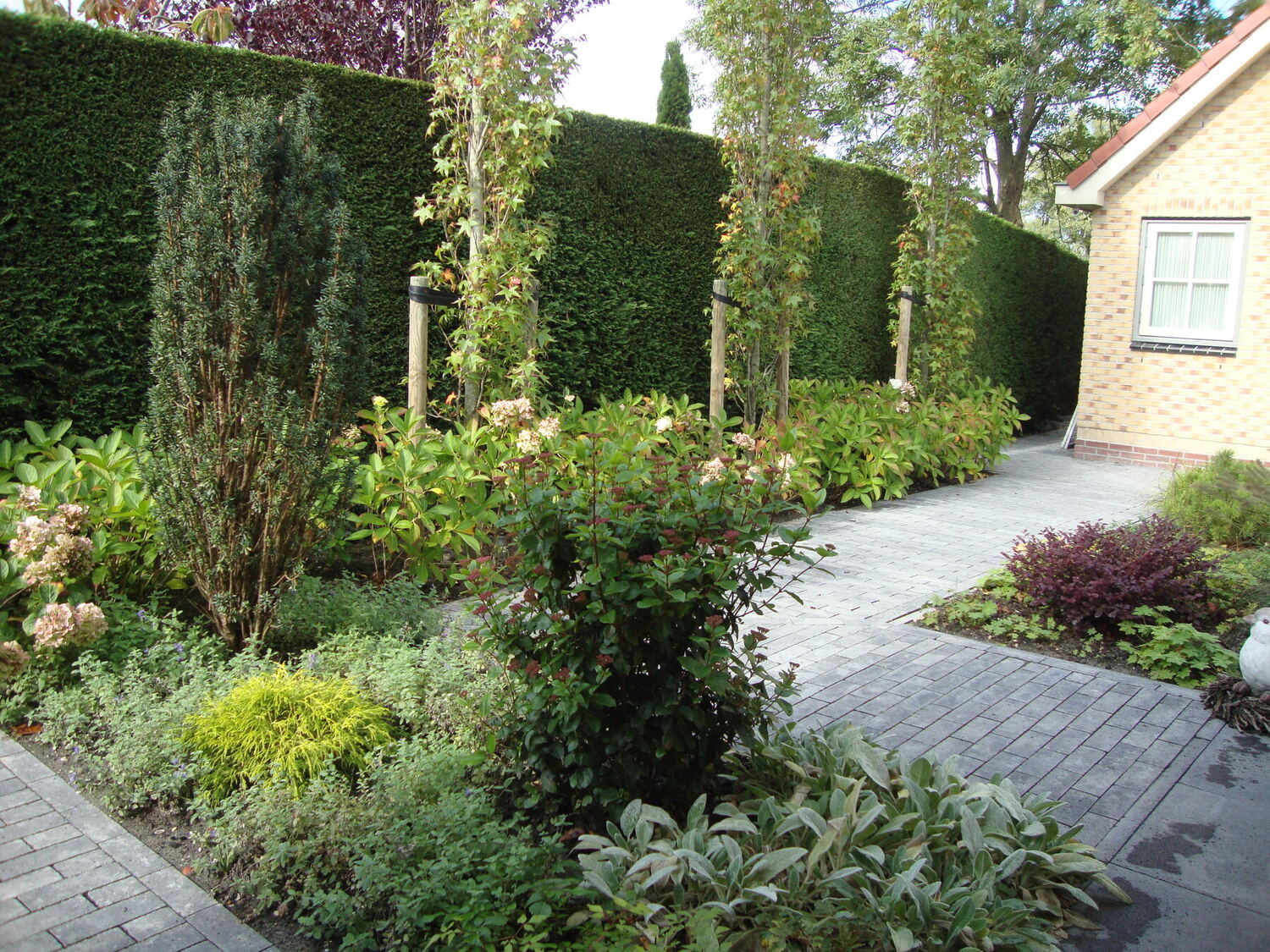 Goed onderhouden border met heesters en vaste planten langs een tuinpad