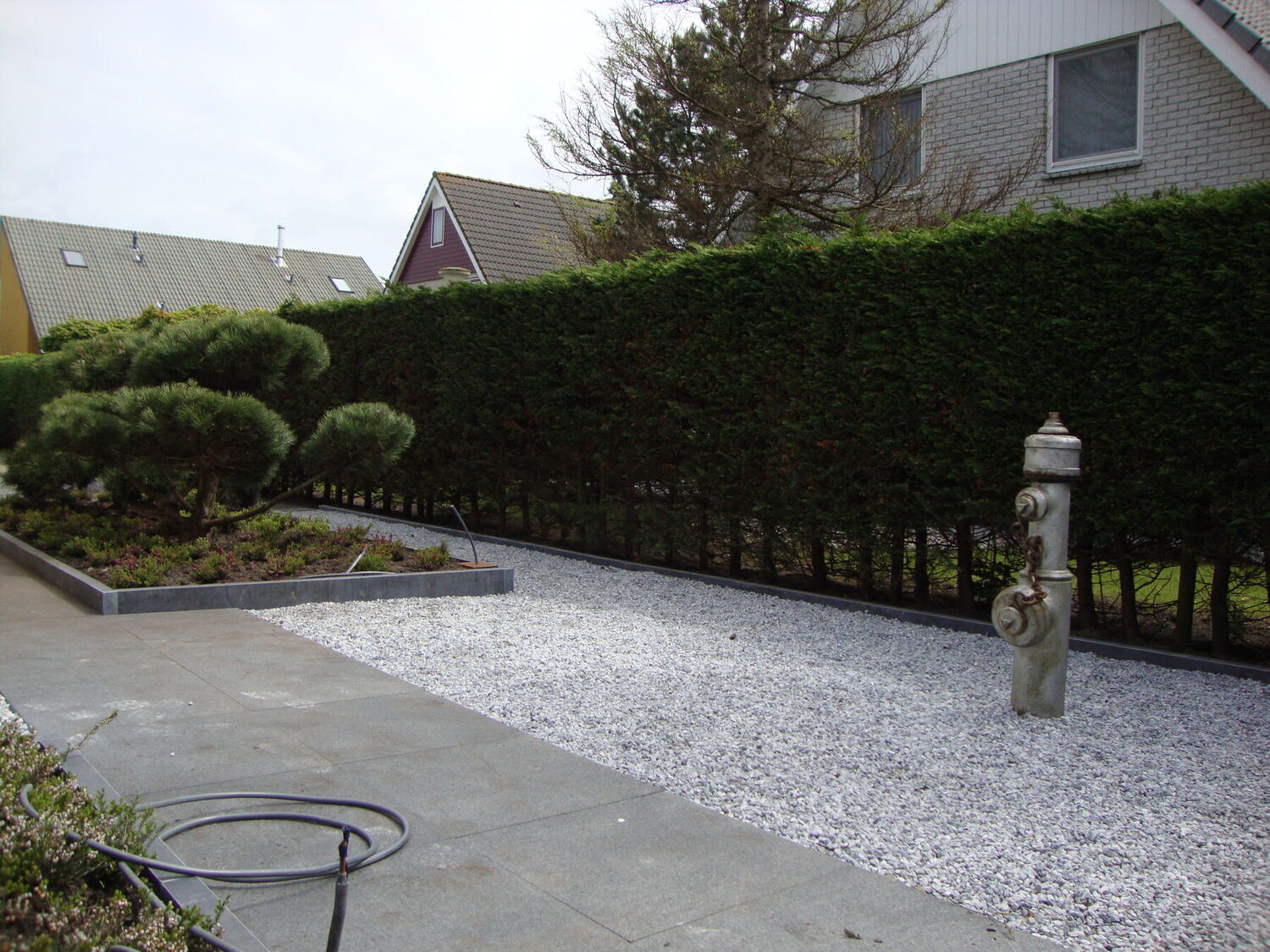 Strakke tuin met haag en grind