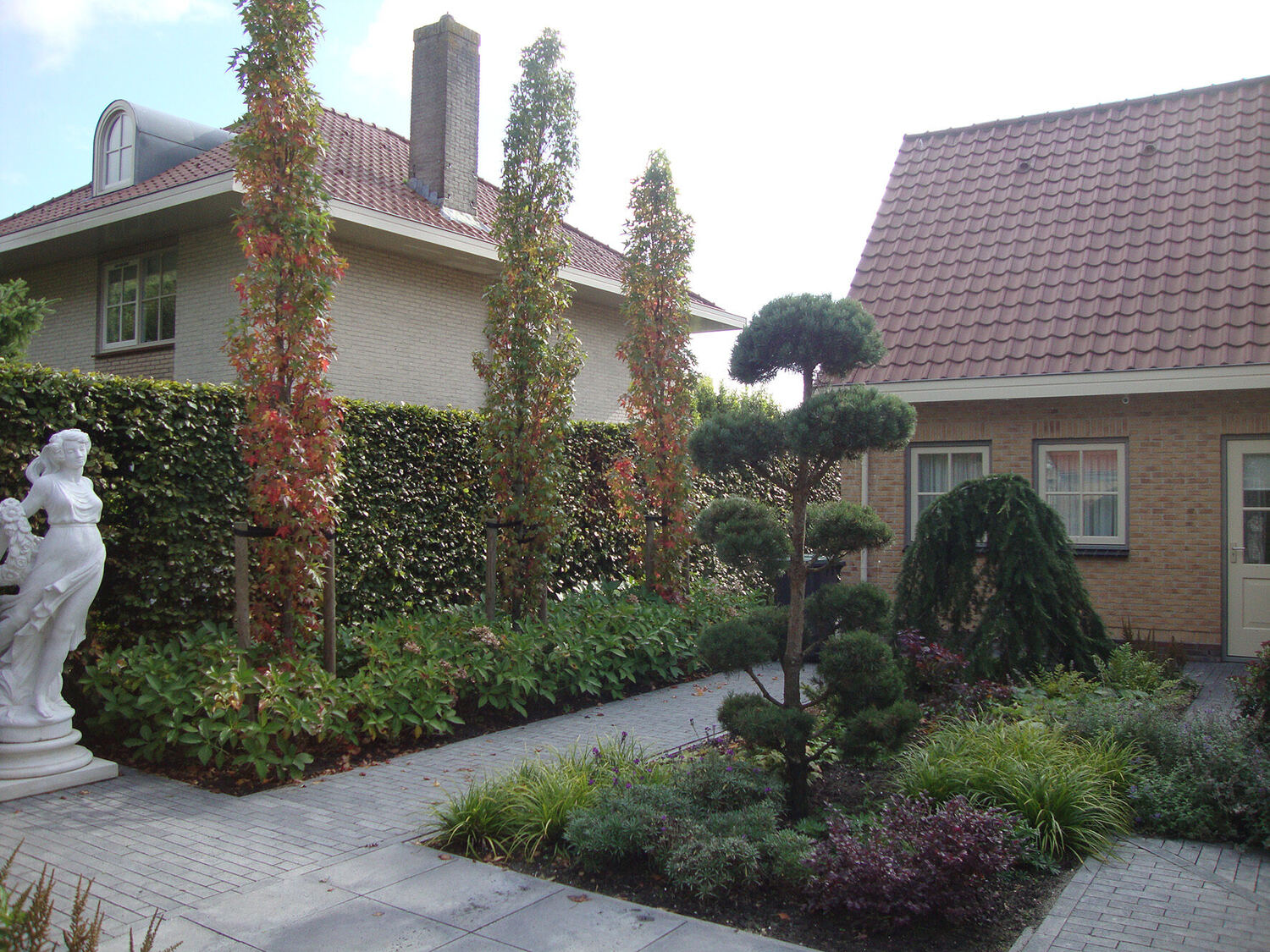 Tuin met bonsai-dennen en zuilvormige bomen