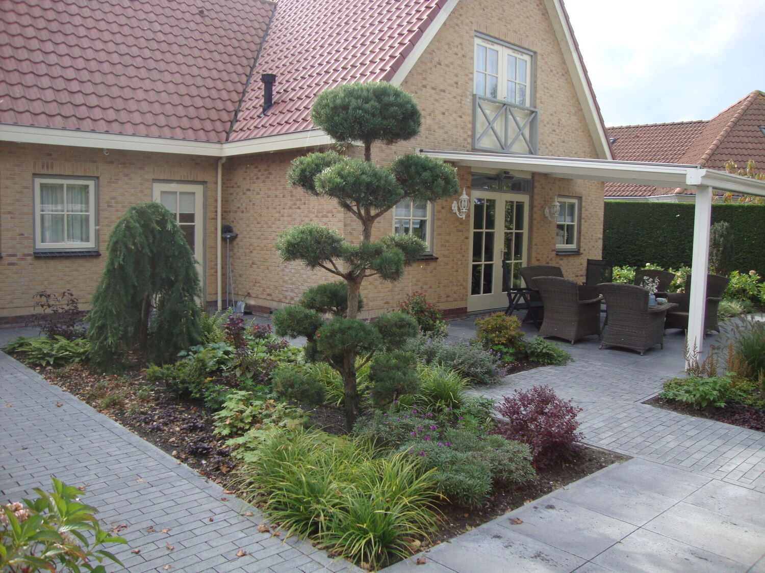 Aangelegde voortuin met bonsai-dennen, borders en bestrating